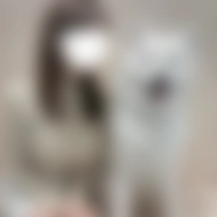 もふもふ犬💕
サモエド会ったことある？💕
すごくおっきくてもふもふで
びっくりした💕