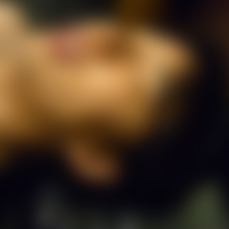 たっぷり唾液✕顔舐め👅

SM活動4年間で、一番マゾの顔面舐めた年だったと思う(笑)