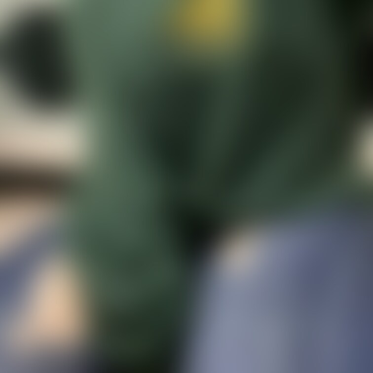 これが、こう💚
思ったよりぽっちゃりだった?(՞ .ˬ.՞)"