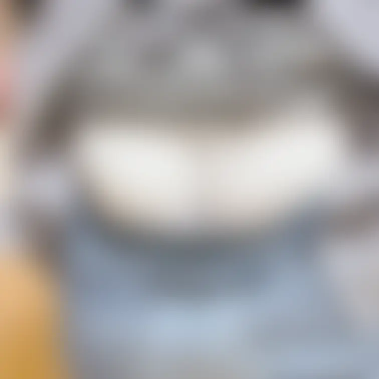 よいしょっ👀🌷