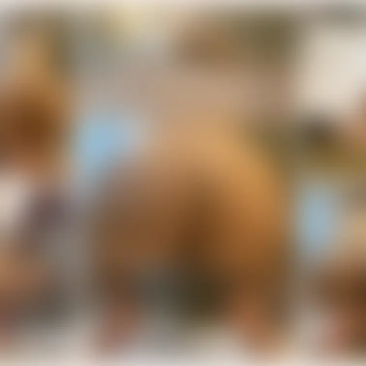 皆さまこんにちは。
いつもありがとうございます。
「【ついに専属契約!?】定例まったりフェラ要員女の
スペシャ