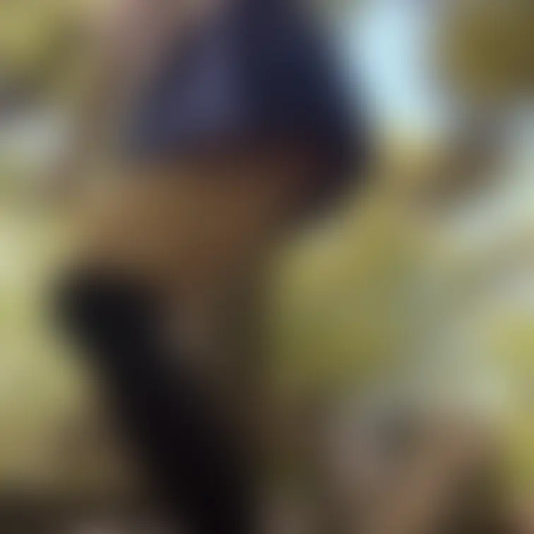 あやのがジャンプしている動画の画像だよ🥰

動画が見たい場合は一つ上のプランを見てみてね⭐️