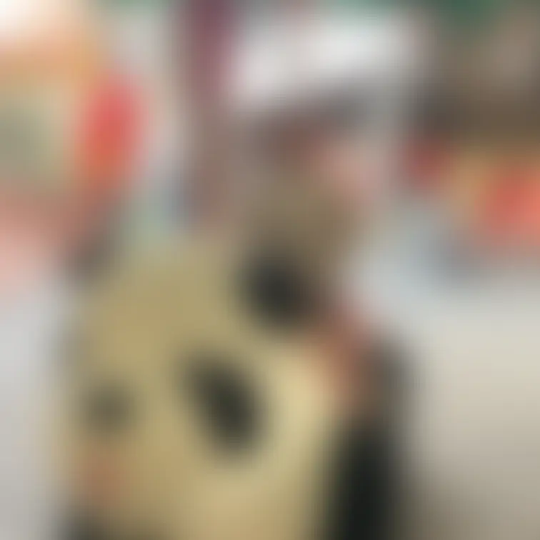 ♡遊園地オフショ♡
ぱんださんに乗ってみたよ〜🐼🚗笑
結構音おっきくてなんか恥ずかしくなった🤣

あとねこの日い
