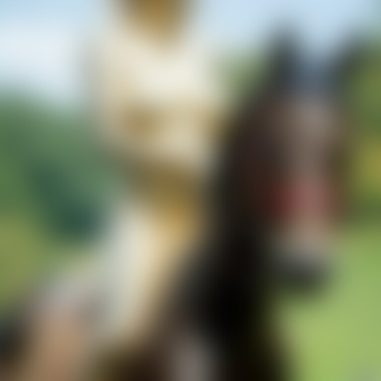 乗馬する金粉美女 / Golden body painted girl riding horse (part1)