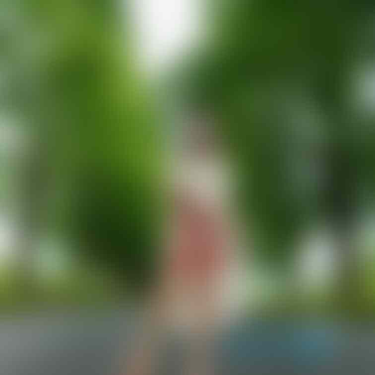 こんな感じの写真はどうですか？