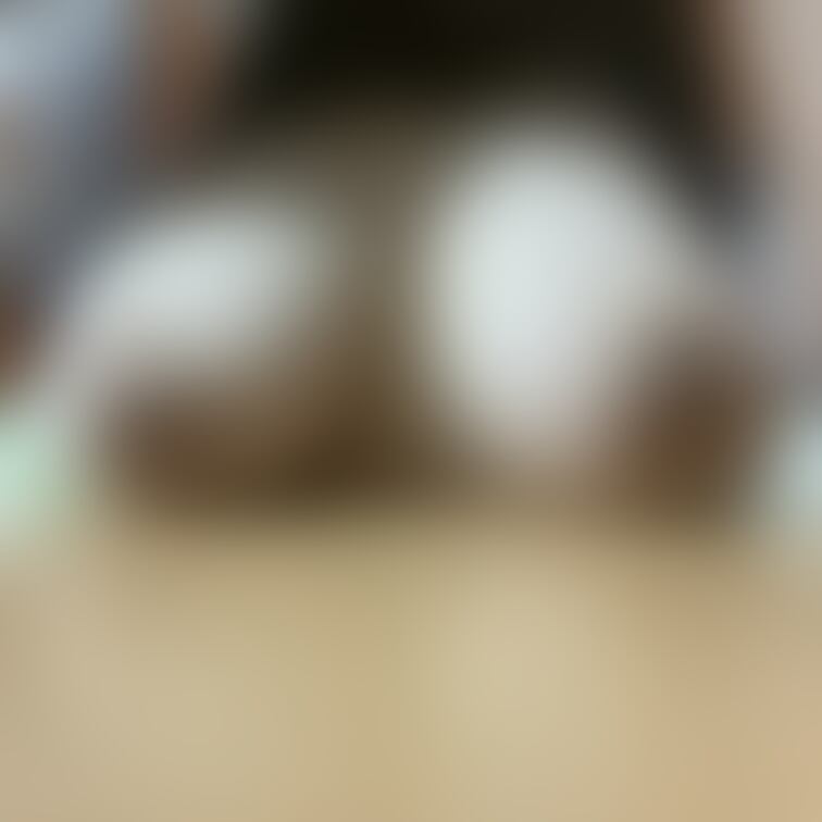 お勉強する……
応援してください