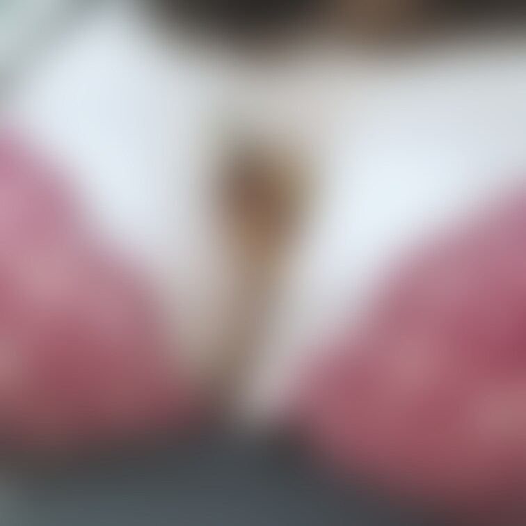 過去写真