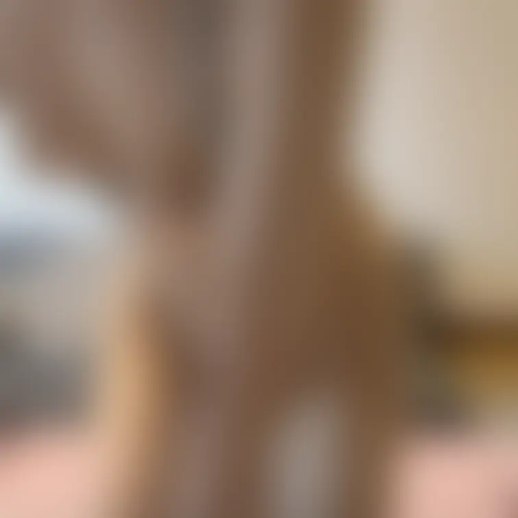 アップは初公開かもしれないです...