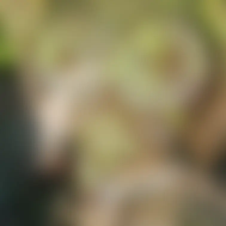 🎥