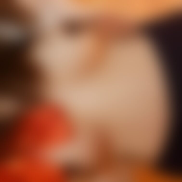 無料classサンプル 乳首こりこりして下さい