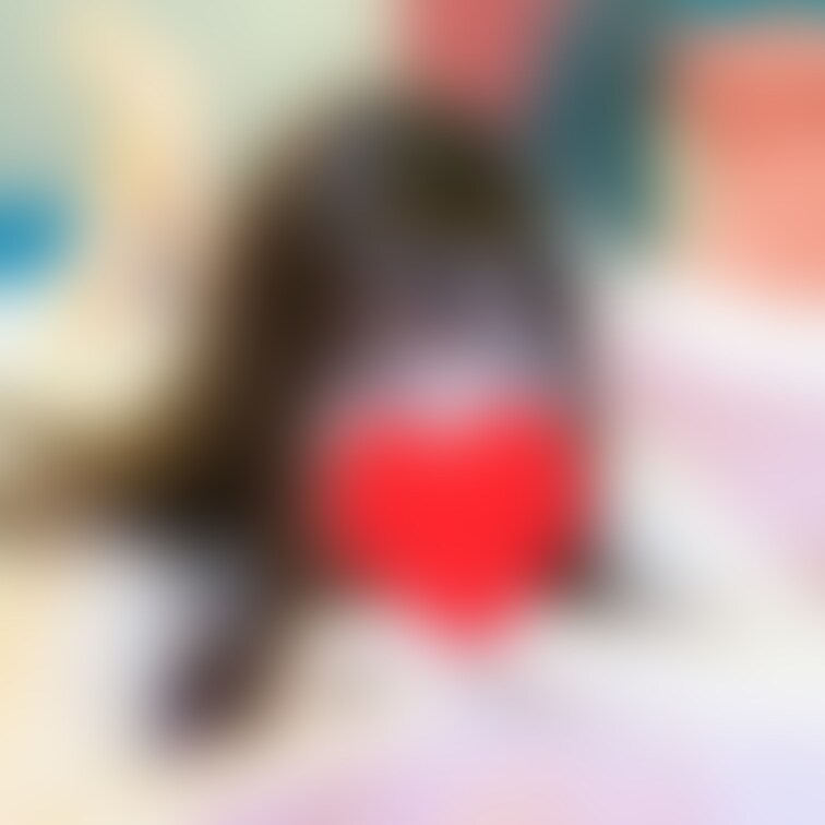 めちゃ綺麗な早川夏美さん

顔出しは有料プランのみの約束ですので、ご了承ください♥後日いろいろお店してゆきます✨