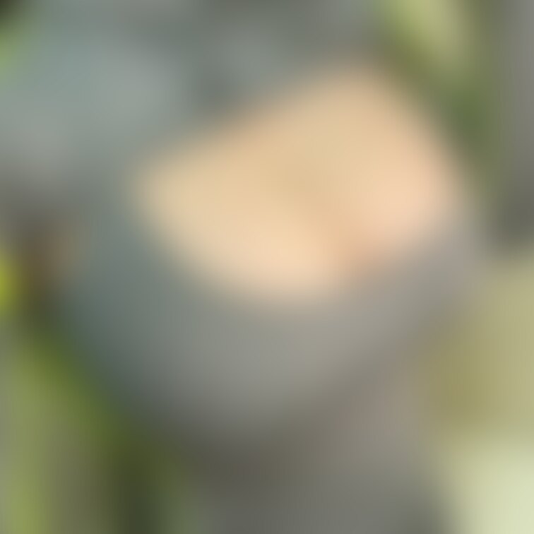 【↑↑】推しは♡いいね押してね💙