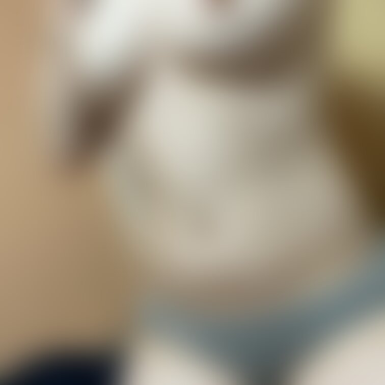 あけましておめでとうございます。😖

今年も元気に気まぐれ投稿していきます〜

