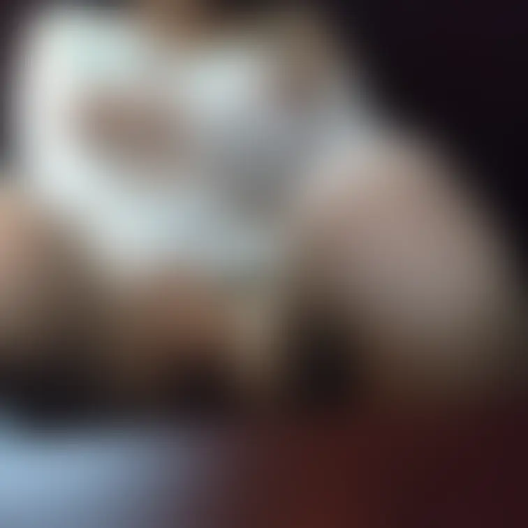 ♥️露出♥️声を押し殺してオナニー

自分のNTR動画総集編を見ていたら
なんとなくエッチな気分に。。。
自然と