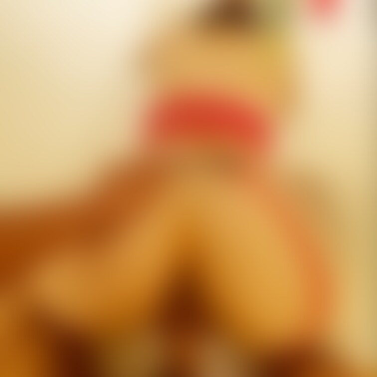 挿入手前がドキドキ...興奮する🥵💦💦