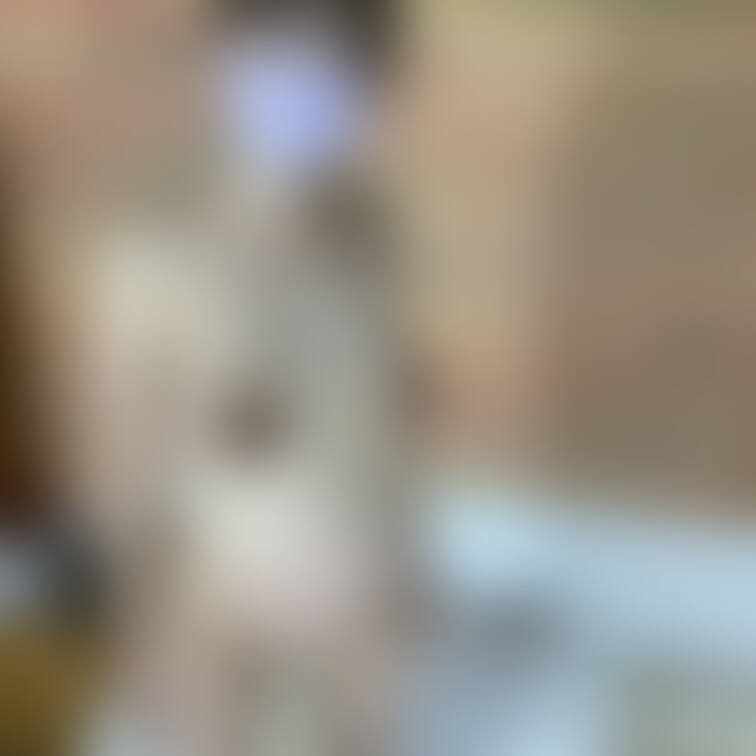 国宝熟女妊婦かほちゃん（臨月）