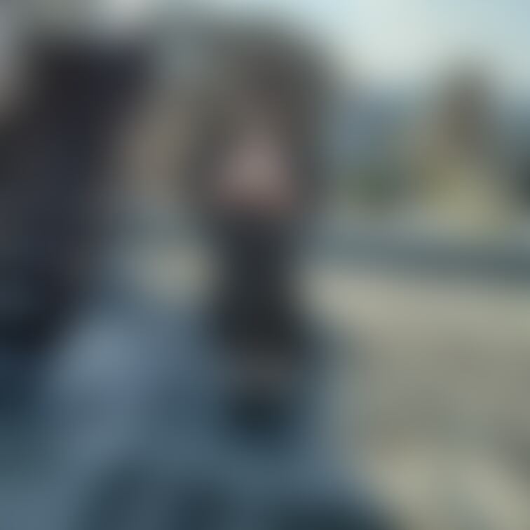 ここで、動画撮影しました。