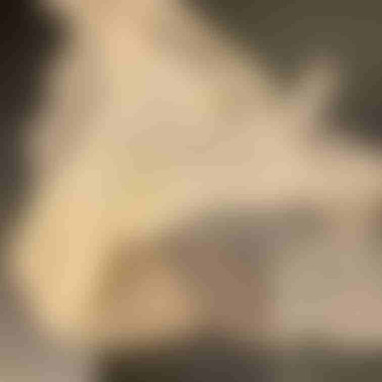 表からでも黄ばみが透けてます。裏返して汚れを見せる羞恥。匂いはアンモニア臭強め。