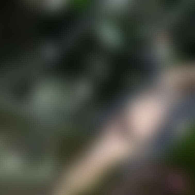 なんか調子悪い？🤔
投稿できないのだが🤔
できたかな？🤔