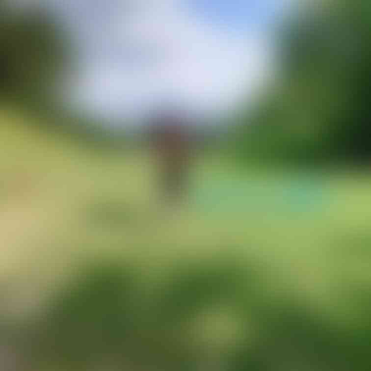 過去の削除写真の再投稿です。（2023年10月投稿）
エロゴルフ💕