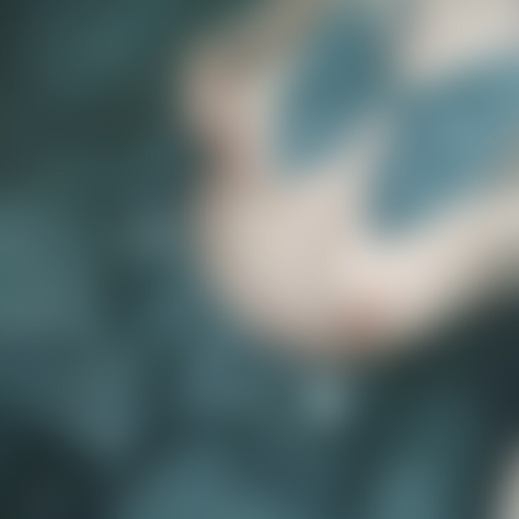 裸リボン