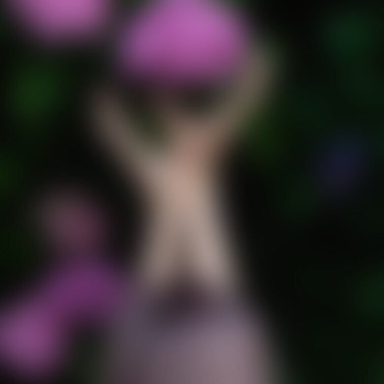 紫陽花×狐面