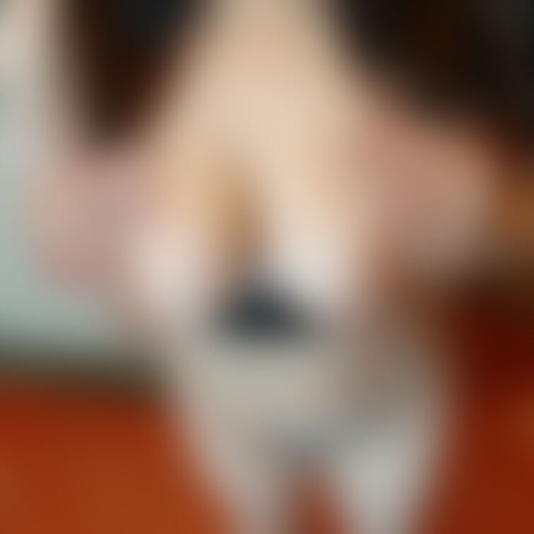 変態お友達