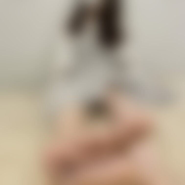 Mao a super naive and neat female college student🐼②

Foot 
