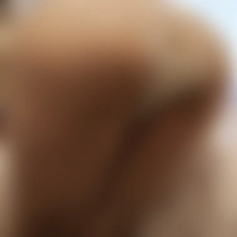 🍑