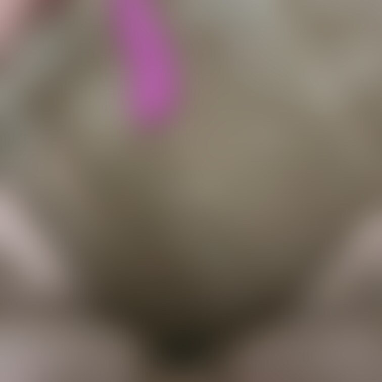 洪水お漏らし