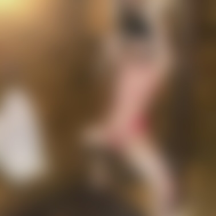相変わらずだけどききのクリちゃんは
すぐ勃起しちゃうみたい...🥹💗

《いいね♡》が活動の励みになります🐈‍⬛