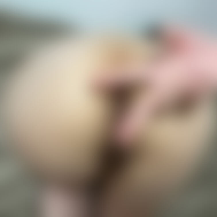 あなるピース♡