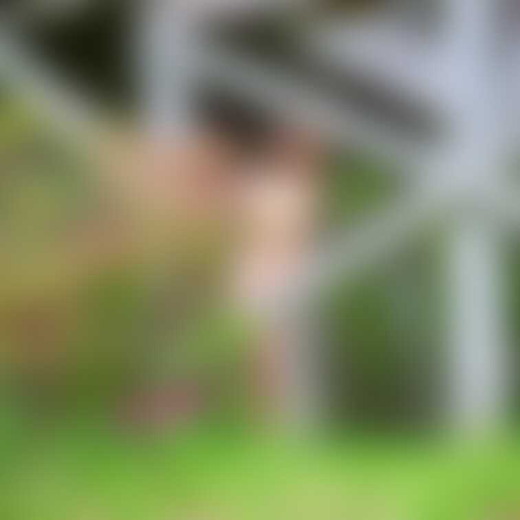 一緒にかくれんぼしませんか？