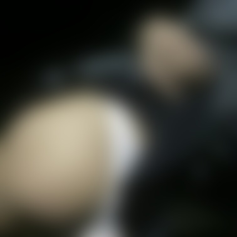 パンチラ❤️