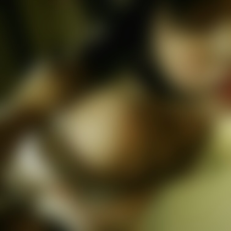 ○○○○○○されたいです