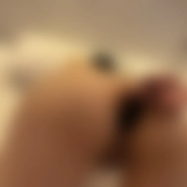 おしりでするのって気持ちいいのかな…おもちゃで練習中