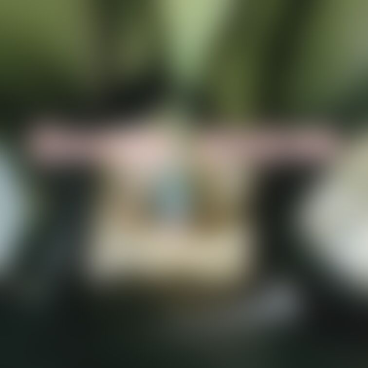 どこへお出掛けしてもおもちゃいれたり、えっちな写真撮っちゃう発情期です(/ω\*)