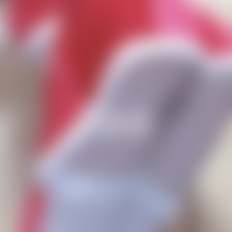 クリスマス終わったからハムサンタ帰っちゃった…てことは…みえちゃってる‎‪…？‎(՞ ܸ. .ܸ՞)🤍🎀𓈒𓏸