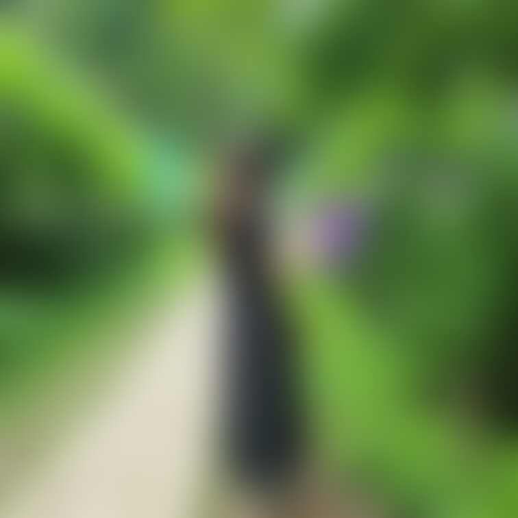 嫁ちゃん