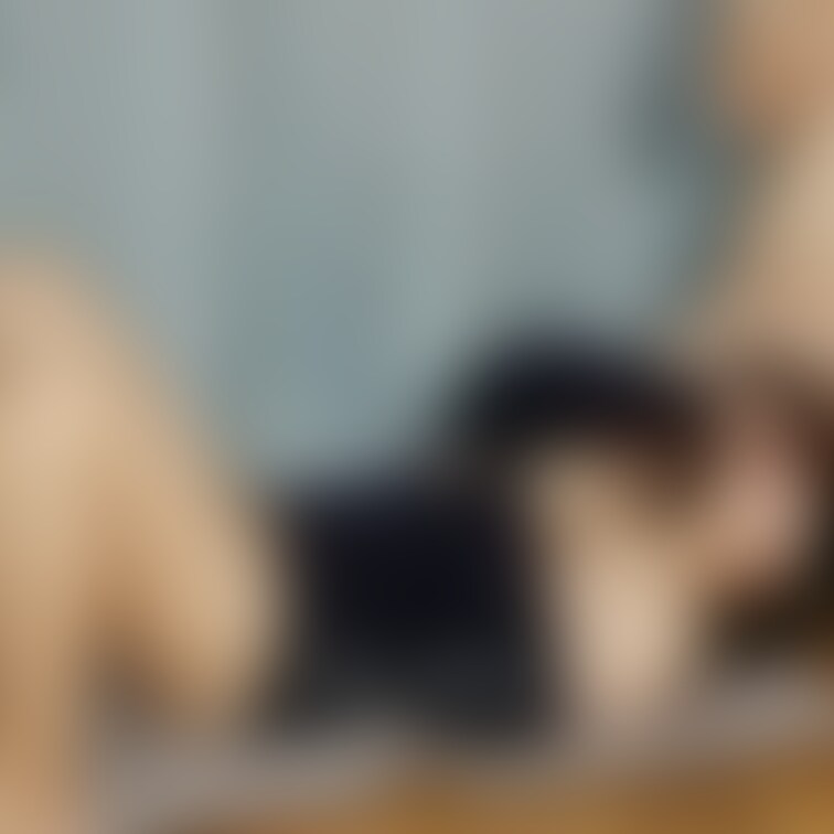 ボンテージテープ目隠し⑦
ハメられるの待ちしていた妻にちんこ差し出すとしっかり舐め始めました☺️欲しいところはおま