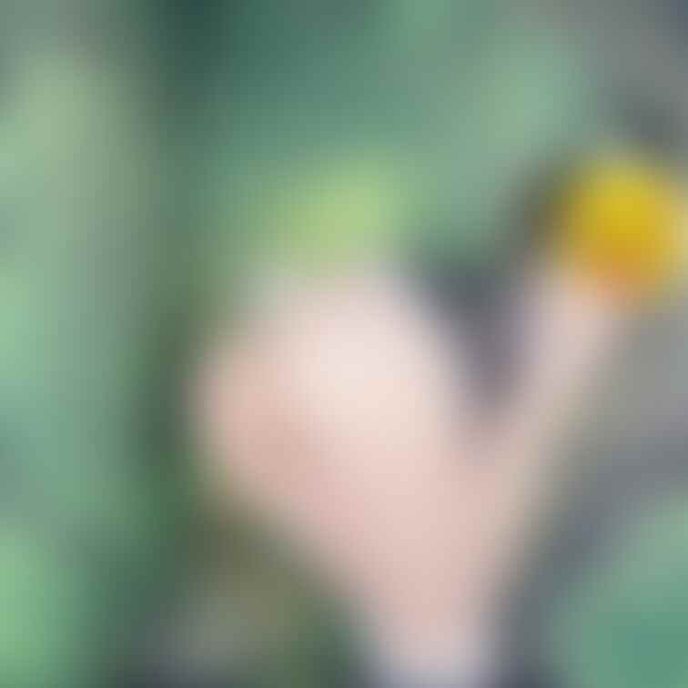 ぱんぱんっ😣