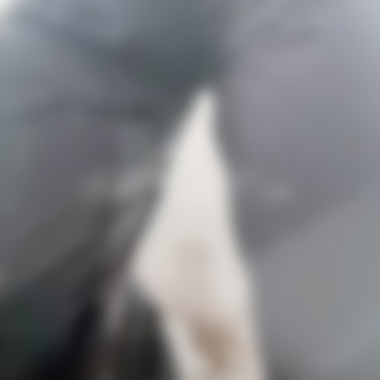 初🔰パジャマおもらし

あのね、、、ついに下着以外の着衣おもらししちゃったの、、、
やっちゃった感やばかったけど、