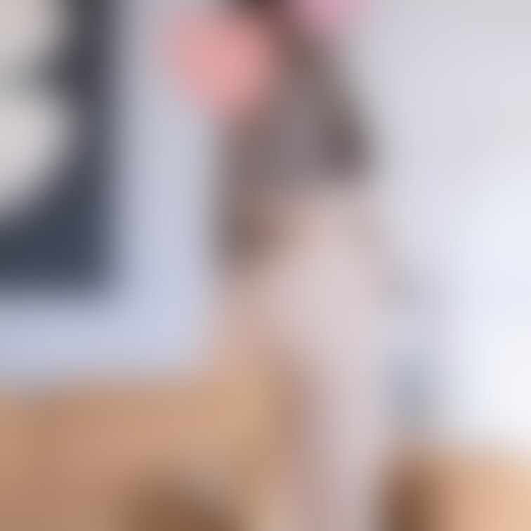 ねこsayaka❤︎❤︎