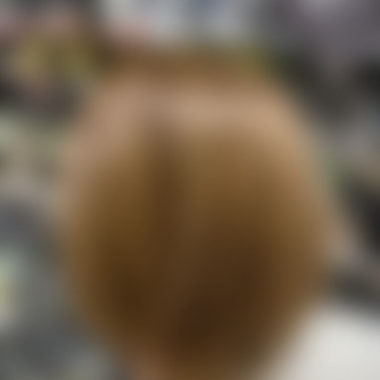 30代美容室行きたての人妻と
デート中に分け目、最高🥺💖
モザナシ
https://myfans.jp/ja287