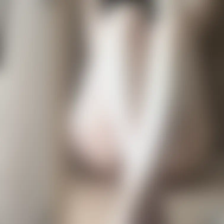 開脚