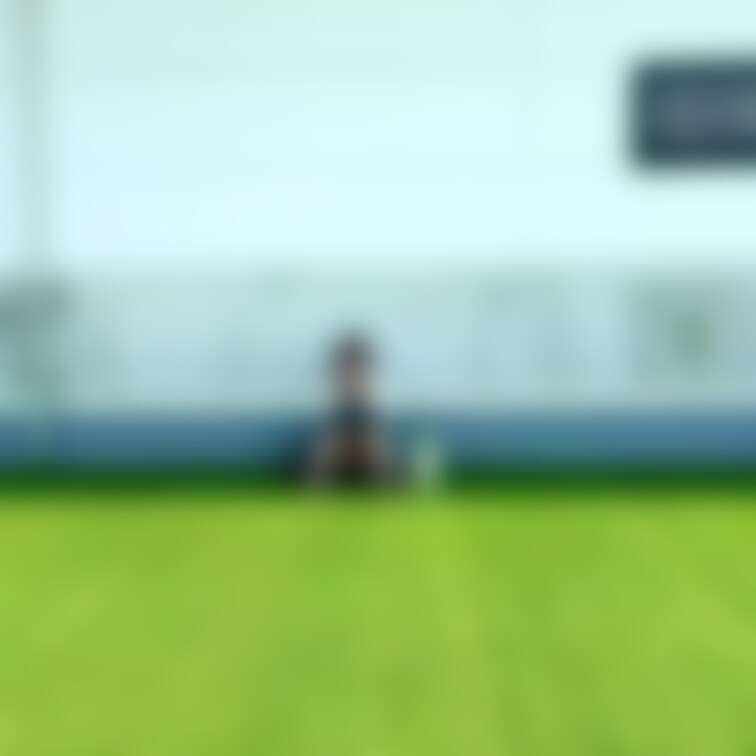 パンチラ放置プレイ完全版