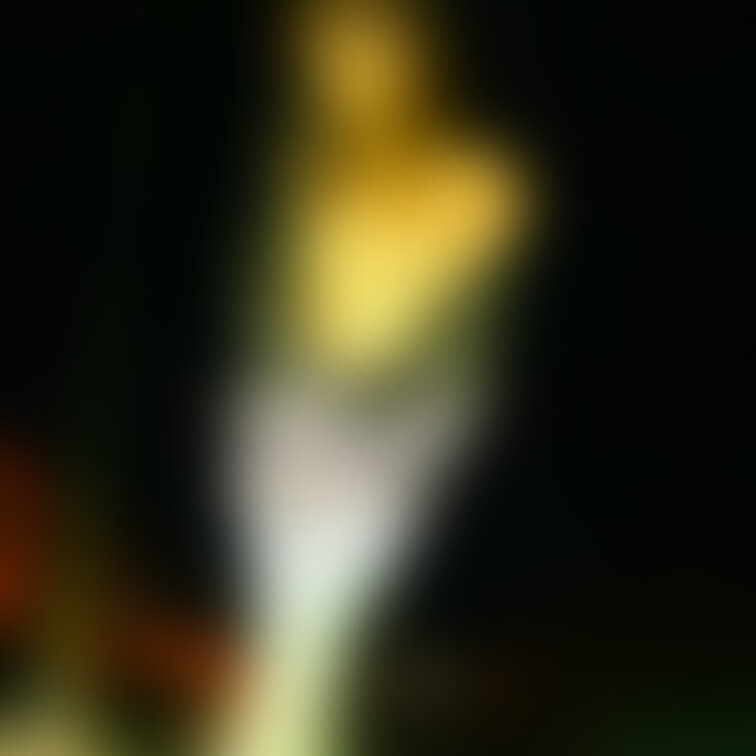 寒くなっても脱ぐから待っててくださいね