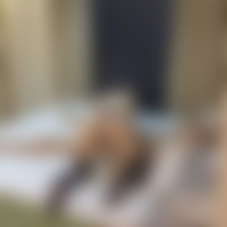 新シリーズ始まります。
悪友と妻のホテルデートで妻が2ヶ月くらいHしてなかったので悪友に寝ててと言い全身リップしたり…