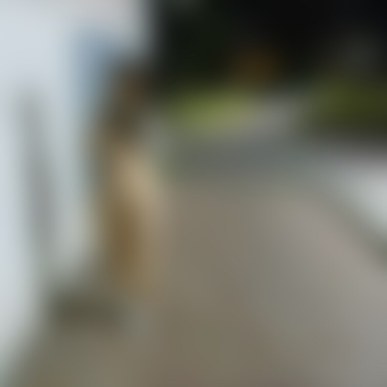 幹線道路枠のトンネルで( *´艸`)