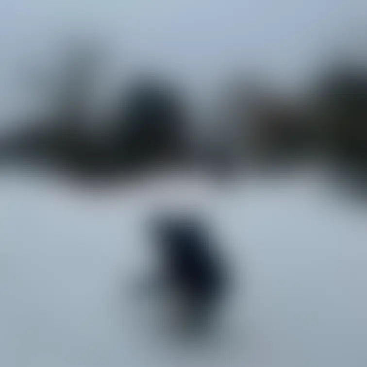 雪遊びしてる姿も可愛いなぁ笑
